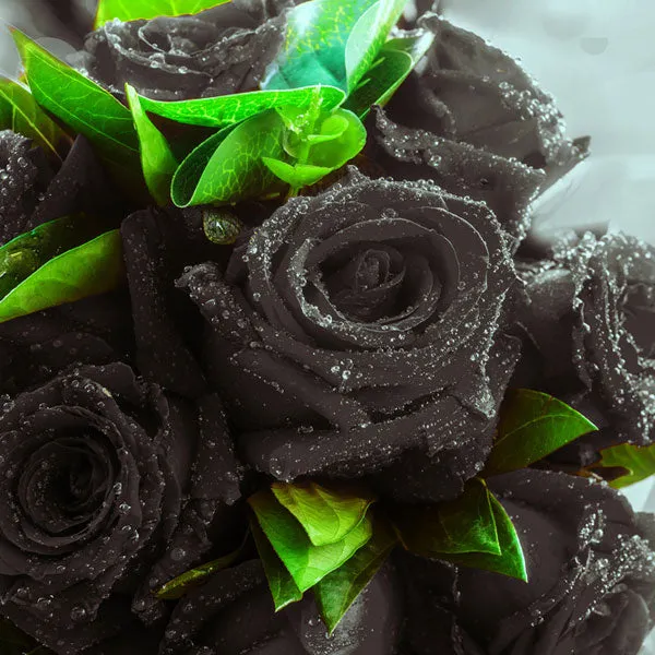 Black Rose & Oud - Fragrance oil