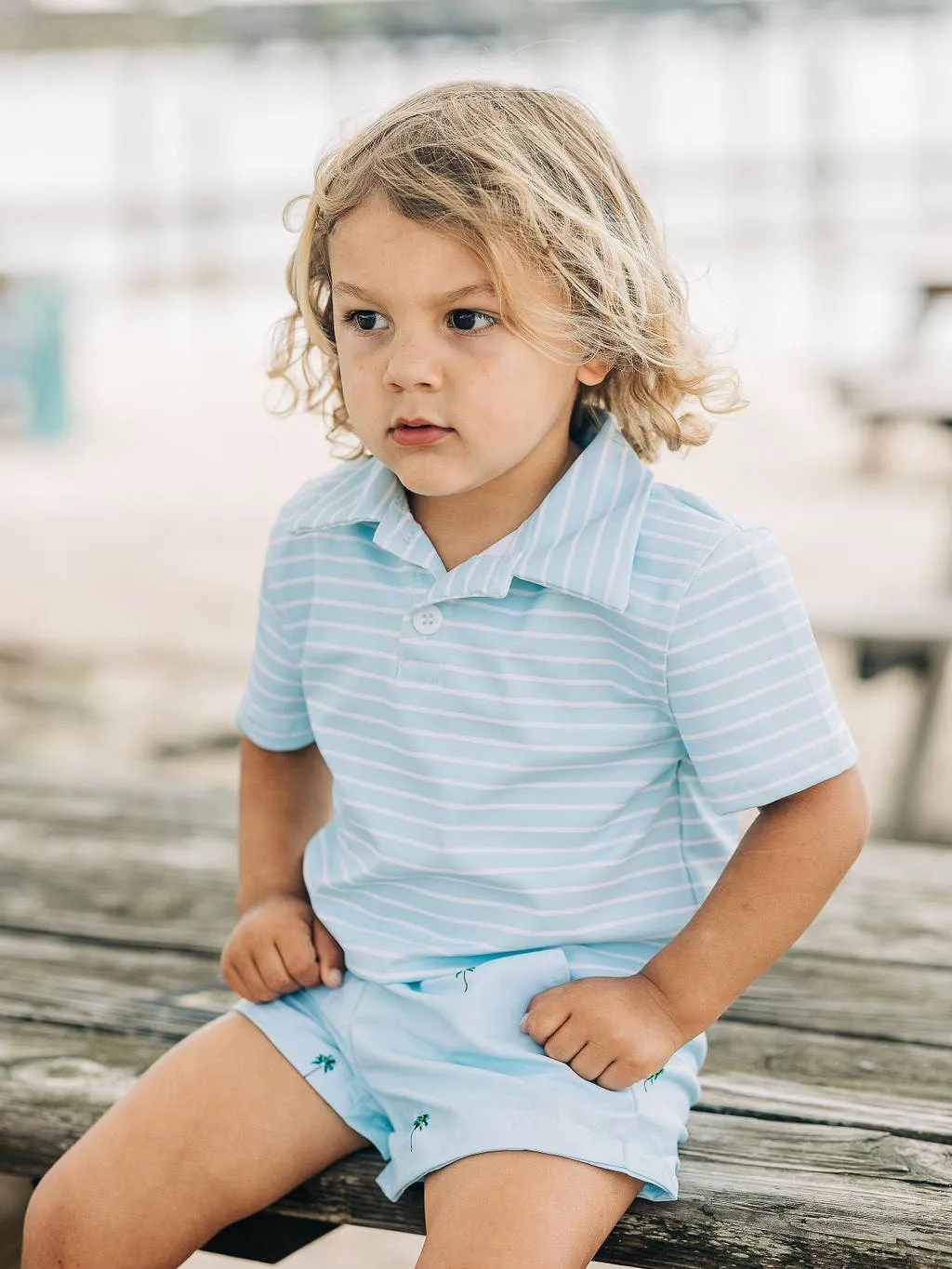 Blue Stripe Polo Shirt