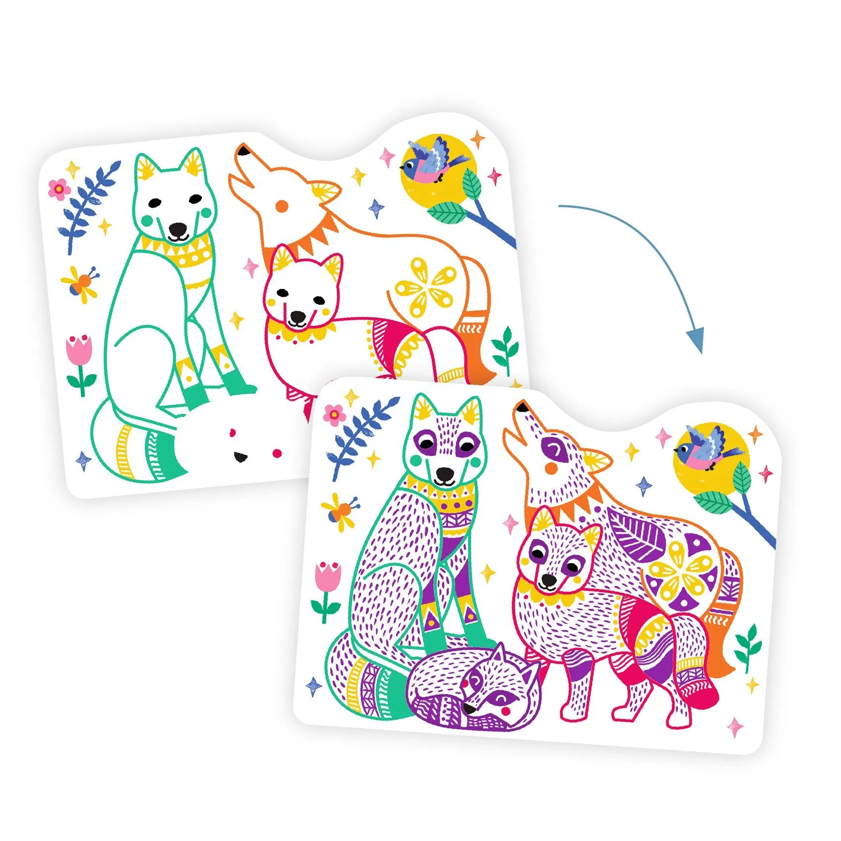 Djeco - Magic colour reveal pictures - Forest Families