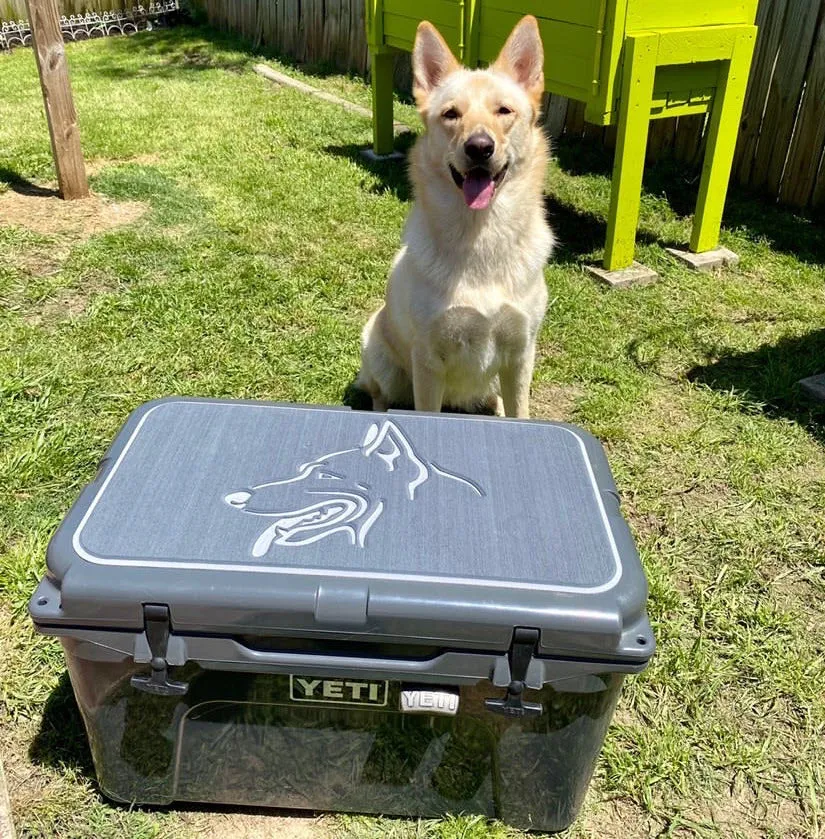 German Shepherd - DG/SG